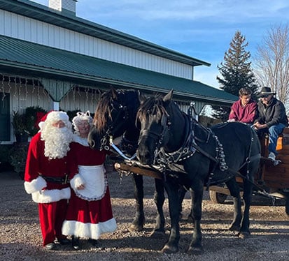 Santa and Mrs Clause with Horse and Carriage