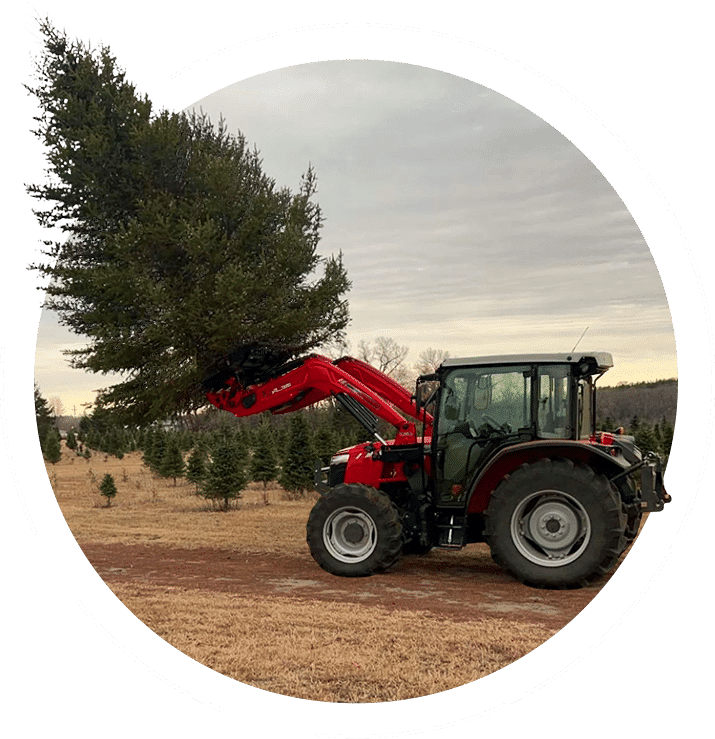 tractor hauling valley tree farm tree