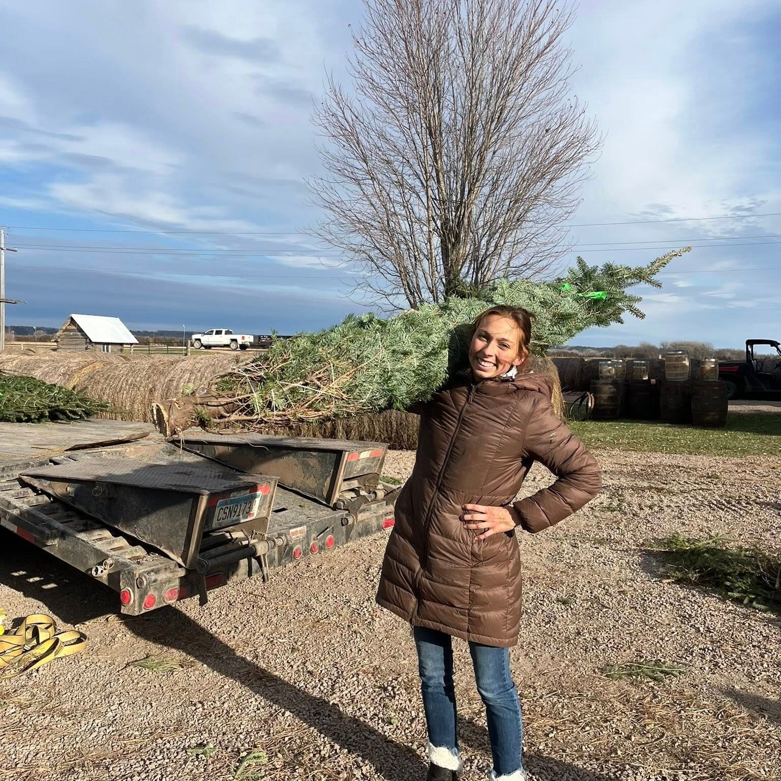 cut your own christmas tree