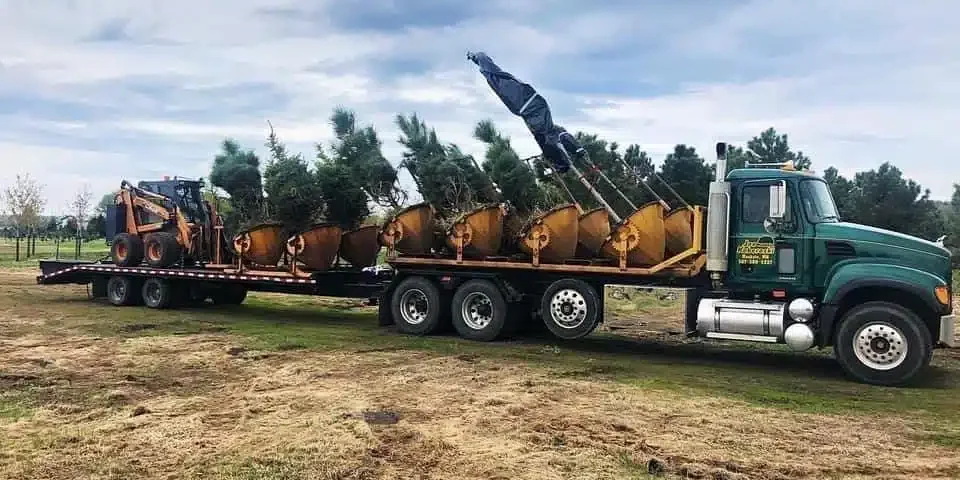 Truck driving tree pod