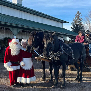 Santa and Mrs Clause with Horse and Carriage
