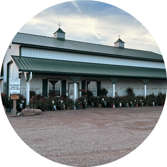 valley tree farm building